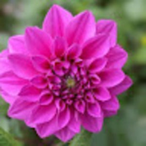 Meet your Posher, Jess